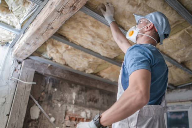 Best Soundproof Insulation Installation  in Mount Morris, IL