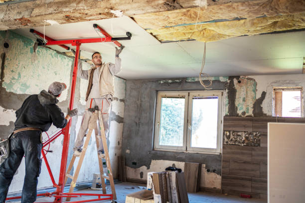 Best Best Insulation Companies  in Mount Morris, IL