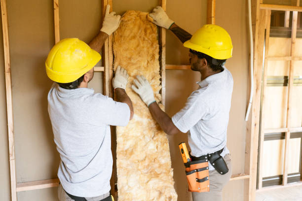 Best Insulation Inspection Services  in Mount Morris, IL
