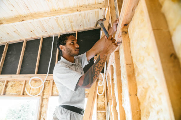 Best Affordable Insulation Services  in Mount Morris, IL