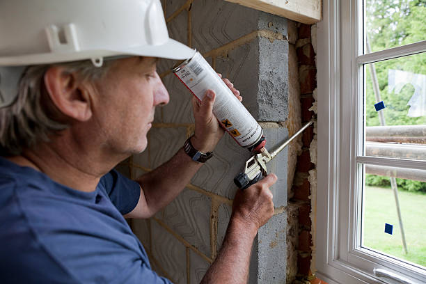 Best Local Insulation Services  in Mount Morris, IL