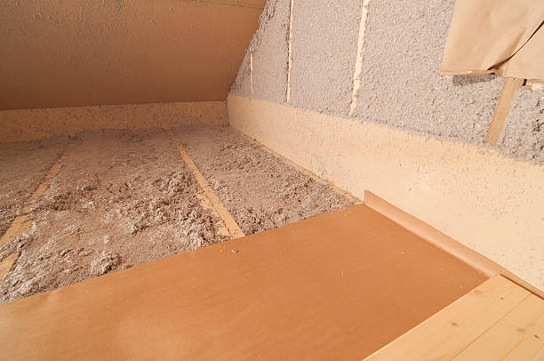Best Attic Insulation Near Me  in Mount Morris, IL