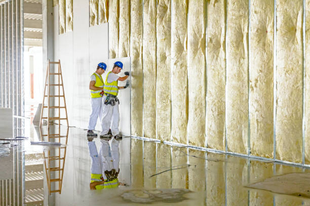 Best Commercial Insulation Contractor  in Mount Morris, IL